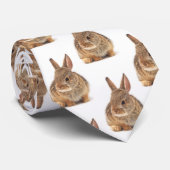 katoenstaartkonijn stropdas (Opgerold)