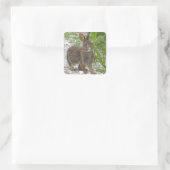 katoenstaartkonijn vierkante sticker (Tas)
