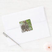 katoenstaartkonijn vierkante sticker (Envelop)