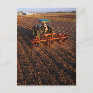 Katoentestveld Briefkaart