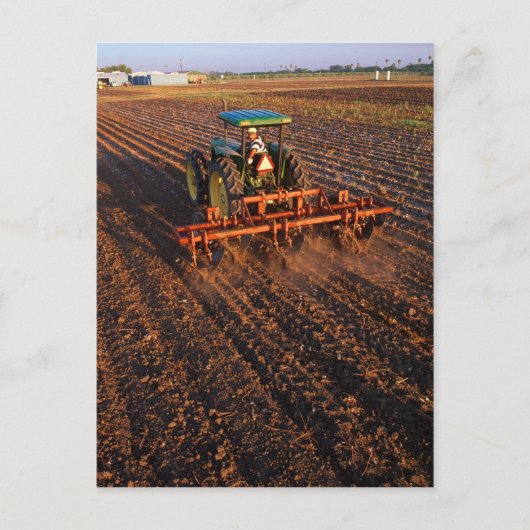 Katoentestveld Briefkaart (Voorkant)