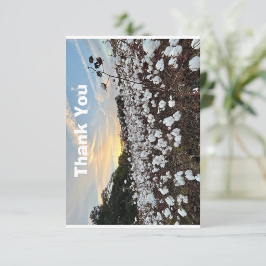 Katoenveld Bedankkaart (Staand voorkant)