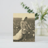 Katoenveld Briefkaart (Staand voorkant)