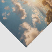 katoenveld-ontkoppelingspapier met zonlicht tissuepapier (Detail)