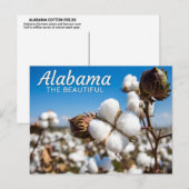 Katoenvelden van het Briefkaart Alabama (Voorkant / Achterkant)