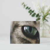 Kat's Briefkaart (Staand voorkant)