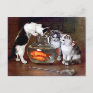 Kats Kittens Vist in een visBowl schilderij Briefkaart