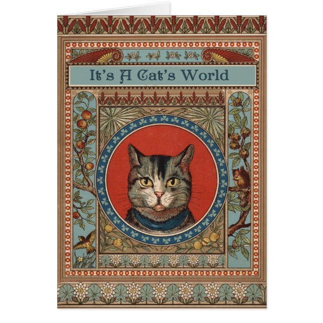  kat's Life for Kitty Cat Classic (Voorkant)