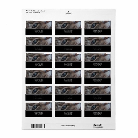 Kat's Oog-Adresetiketten Etiket (Full Sheet)