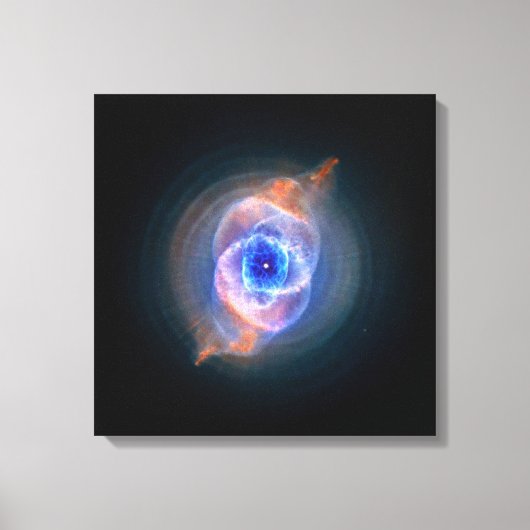 Kat's Ooggloeiende gloed Canvas Afdruk (Voorkant)