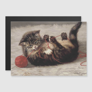 Kat's slede, een kat-speelbak van Yarn