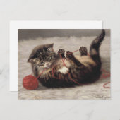 Kat's slede, een kat-speelbak van Yarn Briefkaart (Voorkant / Achterkant)