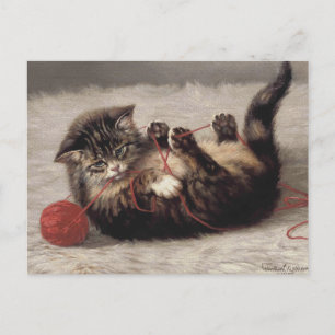 Kat's slede, een kat-speelbak van Yarn Briefkaart