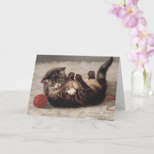 Kat's slede, een kat-speelbak van Yarn Kaart