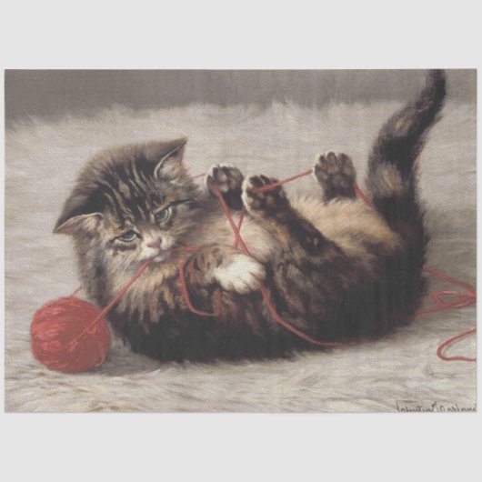 Kat's slede, een kat-speelbak van Yarn Tissuepapier (Voorkant)