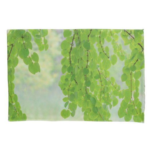 Katsura Tree Limbs in Springtime | Seabeck, WA Kussensloop (Voorkant-Links)