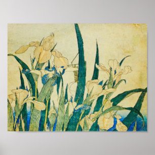 Katsushika Hokusai-Blossoming Irises en Grasshopp Poster