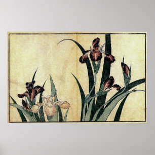 Katsushika Hokusai's Ukiyo-e Woodcut Print: Irises Poster