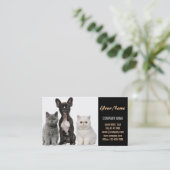 kattekattenvoer dierentuin dierentuin visitekaartje (Staand voorkant)