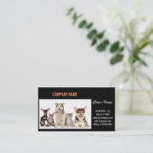 kattekattenvoer dierentuin dierentuin visitekaartje (Staand voorkant)