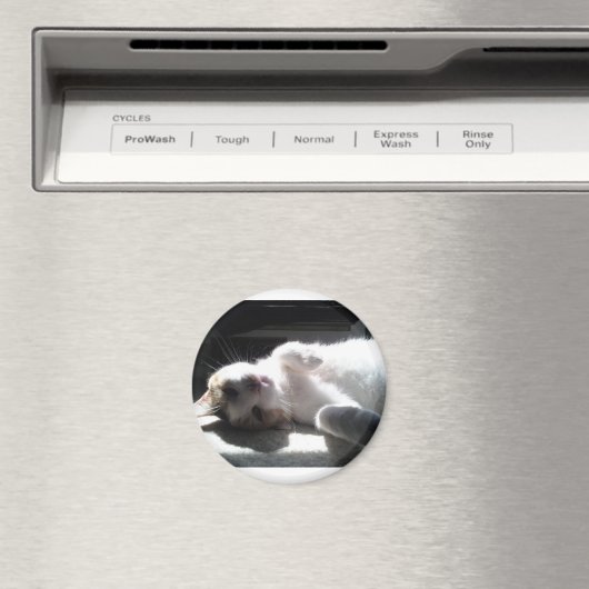 kattemagneet magneet (Insitu (Vaatwasser))