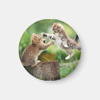 kattemagneet magneet