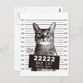 kattemugshot briefkaart (Voorkant / Achterkant)