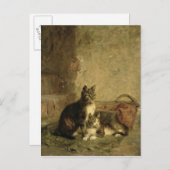 Katten, 1883 briefkaart (Voorkant / Achterkant)