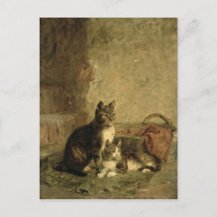 Katten, 1883 briefkaart