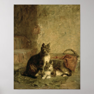 Katten, 1883 poster