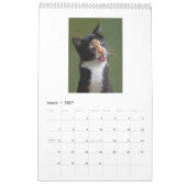 Katten 2014 - Een kalender voor kattendeksels (Mar 2027)
