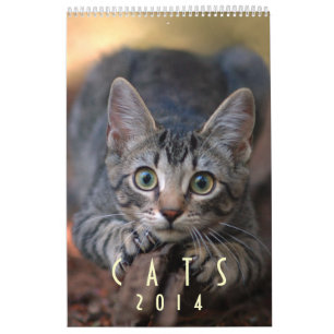 Katten 2014 - Een kalender voor kattendeksels