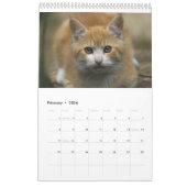 Katten 2014 - Een kalender voor kattendeksels (Feb 2026)