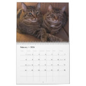 Katten 2015 Marlowe, Pepers en Griffin Kalender (Feb 2026)