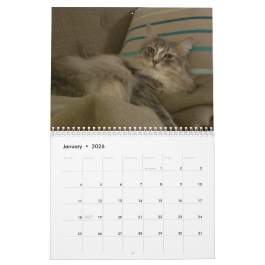 Katten 2015 Marlowe, Pepers en Griffin Kalender (Jan 2026)