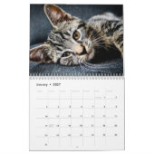Katten 2017 kalender (Jan 2027)