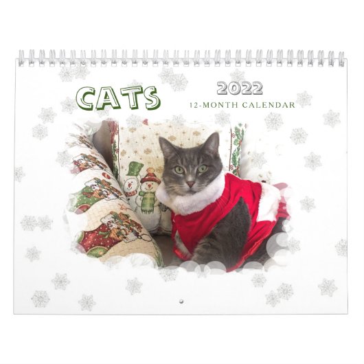 Katten 2022 Agenda Kalender (Hoes)