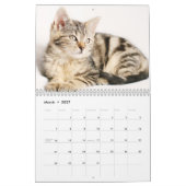 Katten 2024 kalender (Mar 2027)