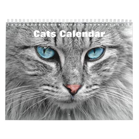 Katten 2025 kalender (Hoes)