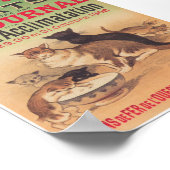 Katten - Advertisement Vintage Poster (Hoek)
