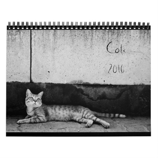 Katten - Agenda 2016 Kalender (Hoes)