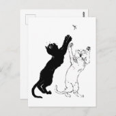 Katten, Alexandre Steinlen Briefkaart (Voorkant / Achterkant)