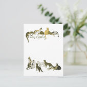 Katten, Alexandre Steinlen Briefkaart (Staand voorkant)