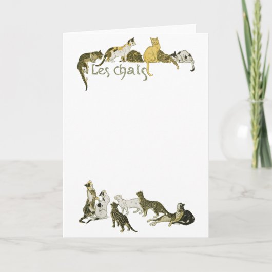 Katten, Alexandre Steinlen Kaart (Voorkant)