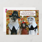 Katten als pelgrims met Turkije Thanksgiving Kaart (Voorkant / Achterkant)