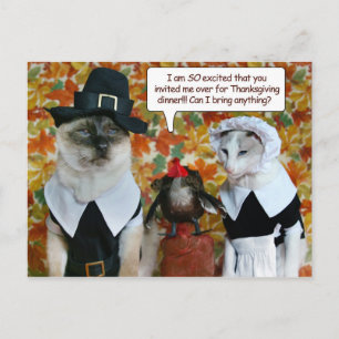 Katten als pelgrims met Turkije Thanksgiving Kaart