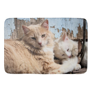 Katten Badmat