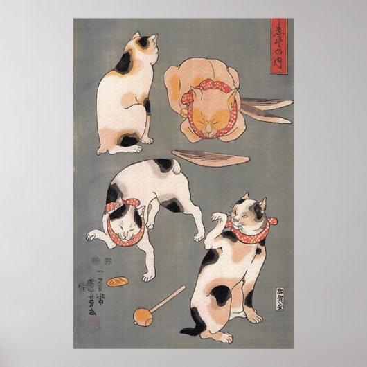 Katten bij Play-Poster Poster (Voorkant)