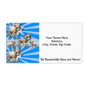 Katten Blue Spay en Neuter Labels (Voorkant)