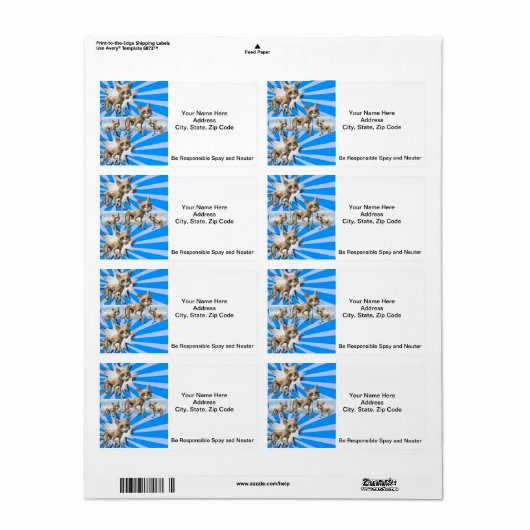 Katten Blue Spay en Neuter Labels (Full Sheet)